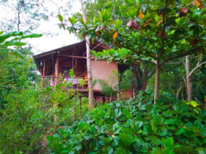 Akash Treehouse